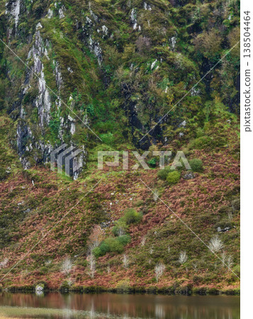 Steep, rocky mountain slopes covered in rich green moss and dark foliage rise above a hillside blanketed with reddish-brown bracken. Steep, rocky mountain slopes covered in rich green moss and dark foliage rise above a hillside blanketed with reddish-brown bracken. 138504464