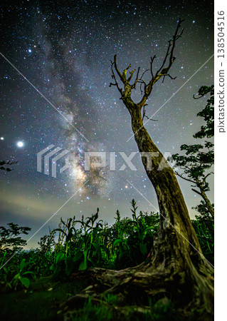 A fantastical starry sky with mountain ridges and the Milky Way stretching out before you. A fantastical starry sky with mountain ridges and the Milky Way stretching out before you. 138504516