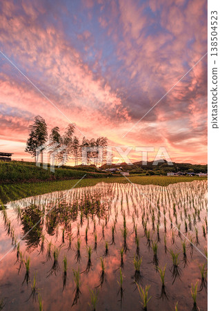 一幅由火紅的夜空和鄉村田野交織而成的奇幻景色。 一幅由火紅的夜空和鄉村田野交織而成的奇幻景色。 138504523