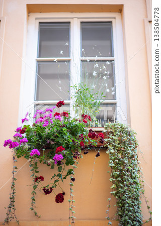 Charming window box with geraniums on pastel facade Charming window box with geraniums on pastel facade 138504778