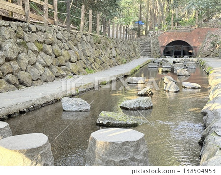 靜岡縣柿田川泉的清澈泉水。 靜岡縣柿田川泉的清澈泉水。 138504953