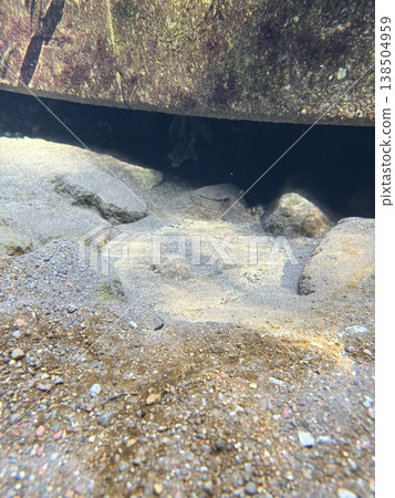 The clear waters of the Kakitagawa springs in Shizuoka Prefecture. 138504959