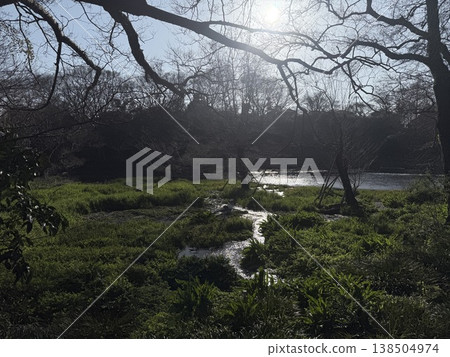 The clear waters of the Kakitagawa springs in Shizuoka Prefecture. 138504974