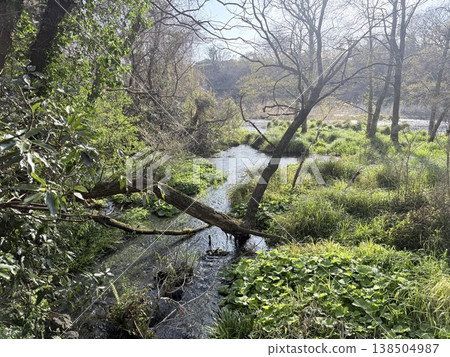 The clear waters of the Kakitagawa springs in Shizuoka Prefecture. The clear waters of the Kakitagawa springs in Shizuoka Prefecture. 138504987