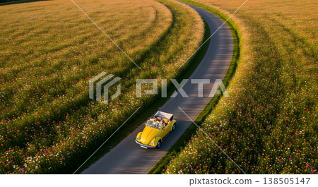 Aerial View Of Yellow Convertible Car Driving Through Colorful Flower Field Under Sunny Sky 138505147