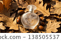 Perfume Bottle Resting On Oak Leaves And Acorns Displaying Warm Autumnal Tones And Organic Textures 138505537