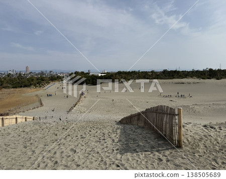 中田島沙丘位於靜岡縣濱松市,是日本三大沙丘之一,擁有通往太平洋的沙路和美麗的沙丘風蝕紋理。 中田島沙丘位於靜岡縣濱松市,是日本三大沙丘之一,擁有通往太平洋的沙路和美麗的沙丘風蝕紋理。 138505689