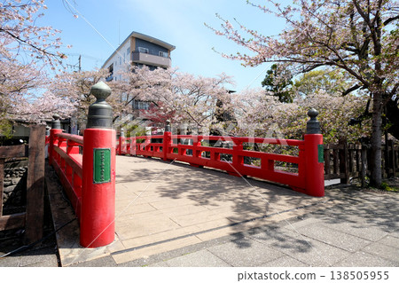 Ogaki City, Gifu Prefecture - The Final Stop of the Narrow Road to the Deep North, Site 63 - April 2025 Ogaki City, Gifu Prefecture - The Final Stop of the Narrow Road to the Deep North, Site 63 - April 2025 138505955