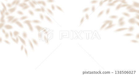 Soft leaf tree shadow, flower plant cast blurred gobo. Light wall bg overlay, tropic branch delicate png. White summer decoration elements. Nature garden shades, bright sunlight texture silhouette 138506027