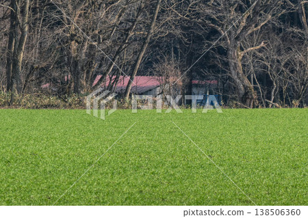 小岩井農場的牧場和牛仔小屋已經迎來了晚春的氣息。 小岩井農場的牧場和牛仔小屋已經迎來了晚春的氣息。 138506360