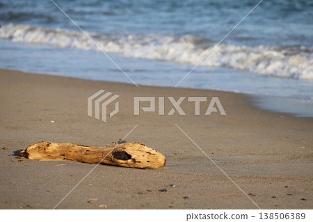 Driftwood washed ashore at Koijigahama Beach (Tahara City, Aichi Prefecture) Driftwood washed ashore at Koijigahama Beach (Tahara City, Aichi Prefecture) 138506389