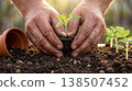 Hands gently transplanting small sapling into moist ground to promote growth and sustainability 138507452