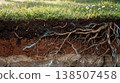 Soil health examined. Assessment of vibrant soil layers supporting diverse plant ecosystems 138507458