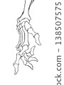 骨手 138507575
