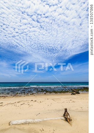 一片由浮木、沙灘和藍色大海以及卷積雲構成的風景。 138507866