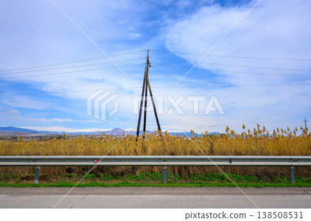 Wooden utility pole rises above dry reeds beside highway Wooden utility pole rises above dry reeds beside highway 138508531
