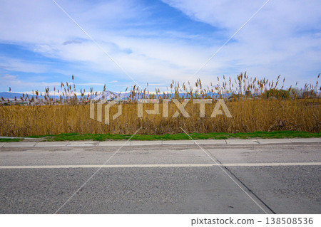 Open landscape with dry grasses beside asphalt road, peaceful and serene 138508536