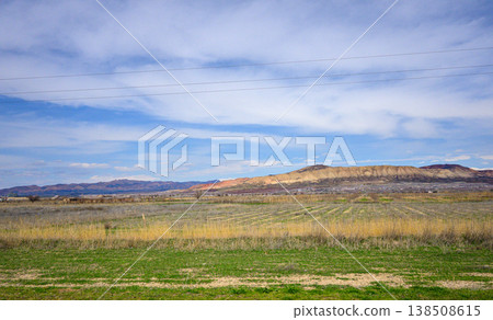 Open rural plain with scattered vegetation and bird migration above 138508615