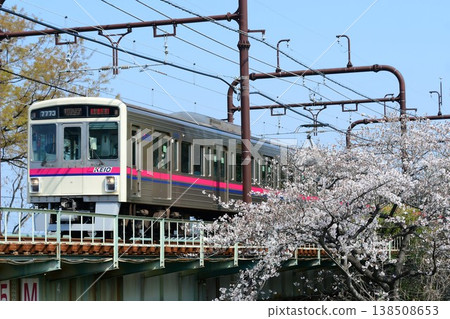 Keio 7000 series 7723F and cherry blossoms 138508653