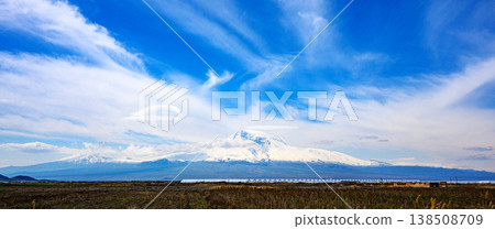 Wide open field of dry grasses in foreground under clear daylight Wide open field of dry grasses in foreground under clear daylight 138508709