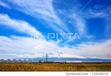 Electric power lines over golden field with greenhouses and mountains Electric power lines over golden field with greenhouses and mountains 138508715