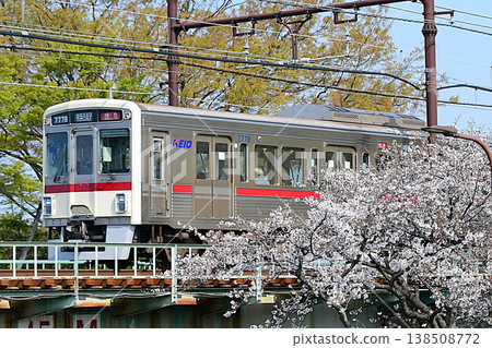 Keio 7000 series 7728F with restored maroon stripe and cherry blossoms 138508772