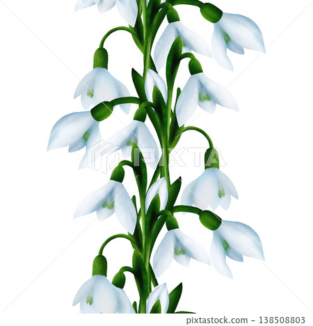 White snowdrops, green branches, splashes. Seamless floral botanical border. Digital watercolor hand drawn White snowdrops, green branches, splashes. Seamless floral botanical border. Digital watercolor hand drawn 138508803