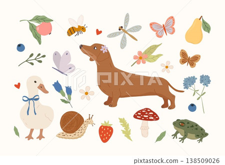 Cute hand drawn countryside animals and nature elements set with dog, duck, frog, snail, butterfly, bee, flowers, mushroom, fruits and leaves. Soft pastel vector collection for kids design and decor. 138509026