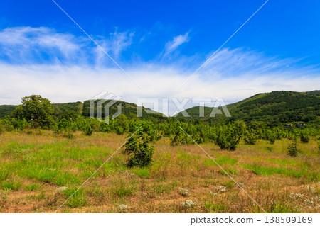 View of the Balkan mountains in Bulgaria 138509169