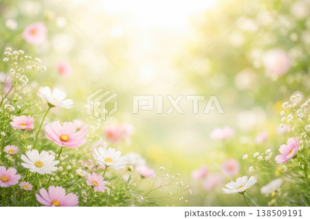 Soft floral background with blooming spring flowers and dreamy bokeh light Soft floral background with blooming spring flowers and dreamy bokeh light 138509191