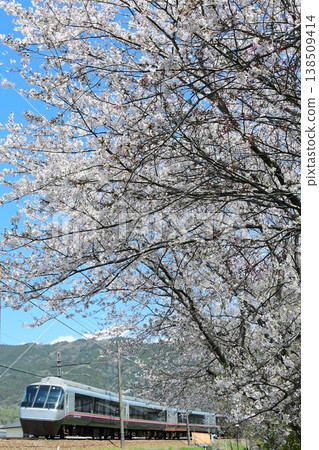 小田急30000系列EXEα和櫻花 138509414