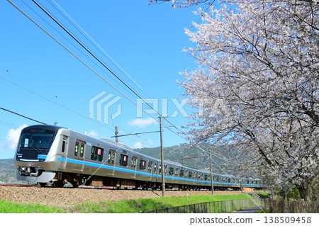 Odakyu 5000 series 5060F and cherry blossoms Odakyu 5000 series 5060F and cherry blossoms 138509458
