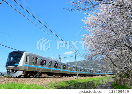 Odakyu 5000 series second generation 5060F and cherry blossoms Odakyu 5000 series second generation 5060F and cherry blossoms 138509459