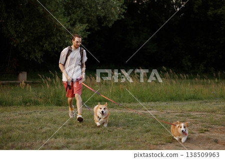 Young man walking two corgi dogs on leash in park at sunset 138509963