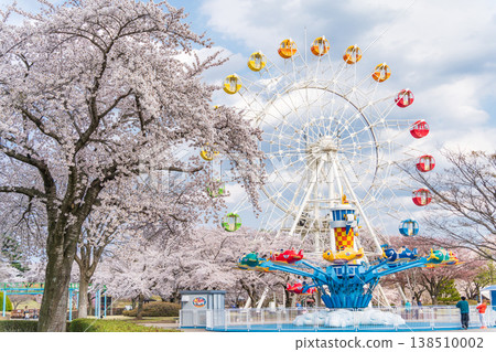青森縣八戶市八戶公園和兒童樂園的春日景色 138510002