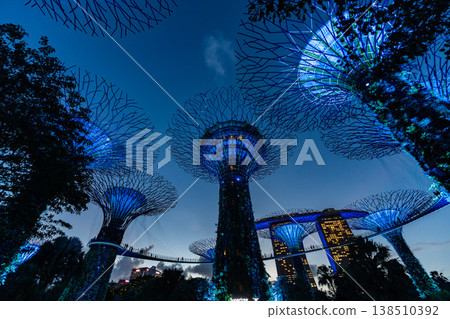 The light-up of Gardens by the Bay in Singapore The light-up of Gardens by the Bay in Singapore 138510392