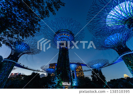 The light-up of Gardens by the Bay in Singapore The light-up of Gardens by the Bay in Singapore 138510395