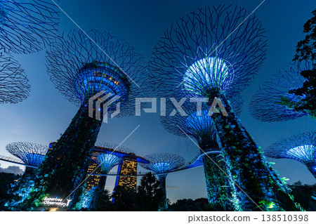 The light-up of Gardens by the Bay in Singapore The light-up of Gardens by the Bay in Singapore 138510398