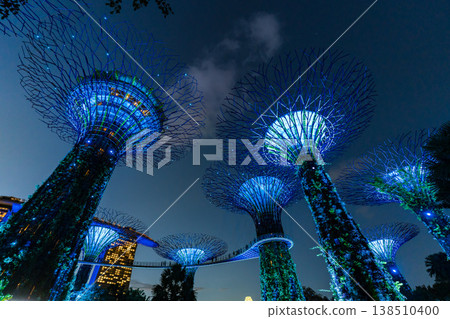 The light-up of Gardens by the Bay in Singapore 138510400