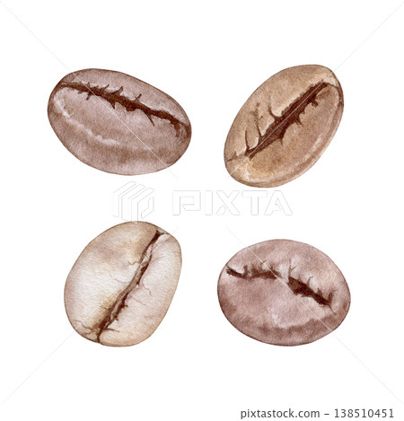 Roasted coffee beans watercolor isolated illustration set. Hand drawn in natural brown. Realistic detailed drawing for cafe menu, coffee packaging, product design, branding and organic label decor. 138510451