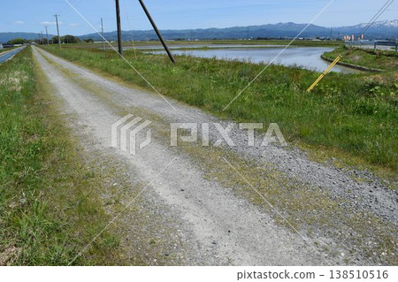 Farm road and rural scenery Shonai, Yamagata Prefecture 138510516