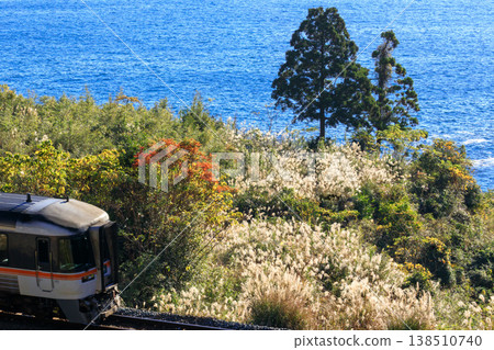 A diesel railcar on the Kisei Main Line speeds through Xu Fu's Palace against a backdrop of shimmering pampas grass bathed in the dazzling morning sun from the Pacific Ocean. A diesel railcar on the Kisei Main Line speeds through Xu Fu's Palace against a backdrop of shimmering pampas grass bathed in the dazzling morning sun from the Pacific Ocean. 138510740