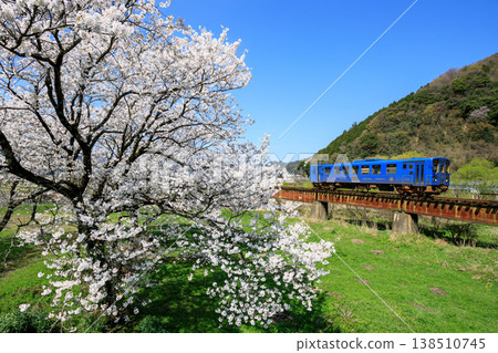 一輛若狹鐵道的復古柴油車組駛過3號八樋東川橋,橋上櫻花盛開(第一部) 一輛若狹鐵道的復古柴油車組駛過3號八樋東川橋,橋上櫻花盛開(第一部) 138510745