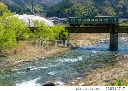 A retro diesel railcar of the Wakasa Railway crosses the Hatto River, where cherry blossoms are in full bloom along the riverbank. A retro diesel railcar of the Wakasa Railway crosses the Hatto River, where cherry blossoms are in full bloom along the riverbank. 138510747