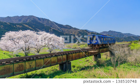 A retro diesel railcar of the Wakasa Railway runs across the No. 3 Hachihigashigawa Bridge, where cherry blossoms are in full bloom (Part 2) A retro diesel railcar of the Wakasa Railway runs across the No. 3 Hachihigashigawa Bridge, where cherry blossoms are in full bloom (Part 2) 138510748
