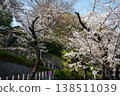 櫻花盛開，石牆聳立；傳統日式建築的屋頂映襯著藍天；典型的日本春季街景；旅遊宣傳照。 138511039