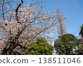藍天白雲，櫻花盛開：清新怡人的春日景象。背景素材留有文字空間。展現日本四季。 138511046