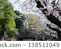 一排盛開的櫻花樹和一座傳統的拱橋；賞櫻的熱鬧氣氛；典型的日本春季景色；熱門旅遊景點。 138511049