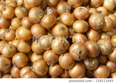 Fresh and delicious onions harvested in the field 138511693