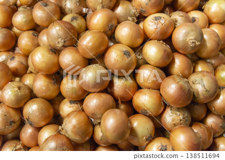Fresh and delicious onions harvested in the field 138511694